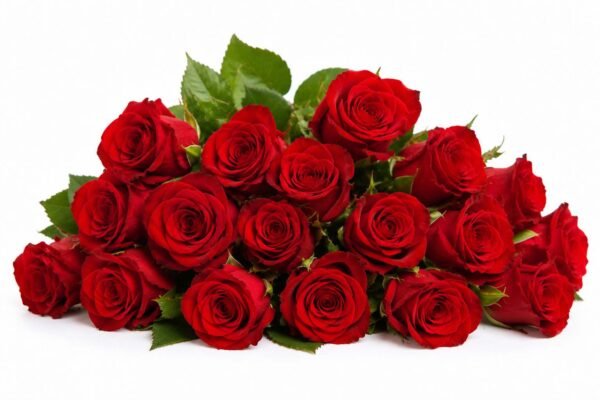 golap phool