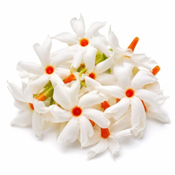 siuli phool